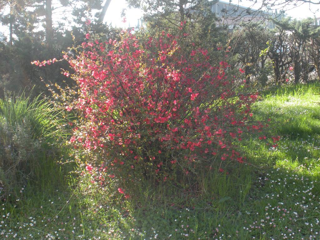 Farm stay Agriturismo Le Rose
