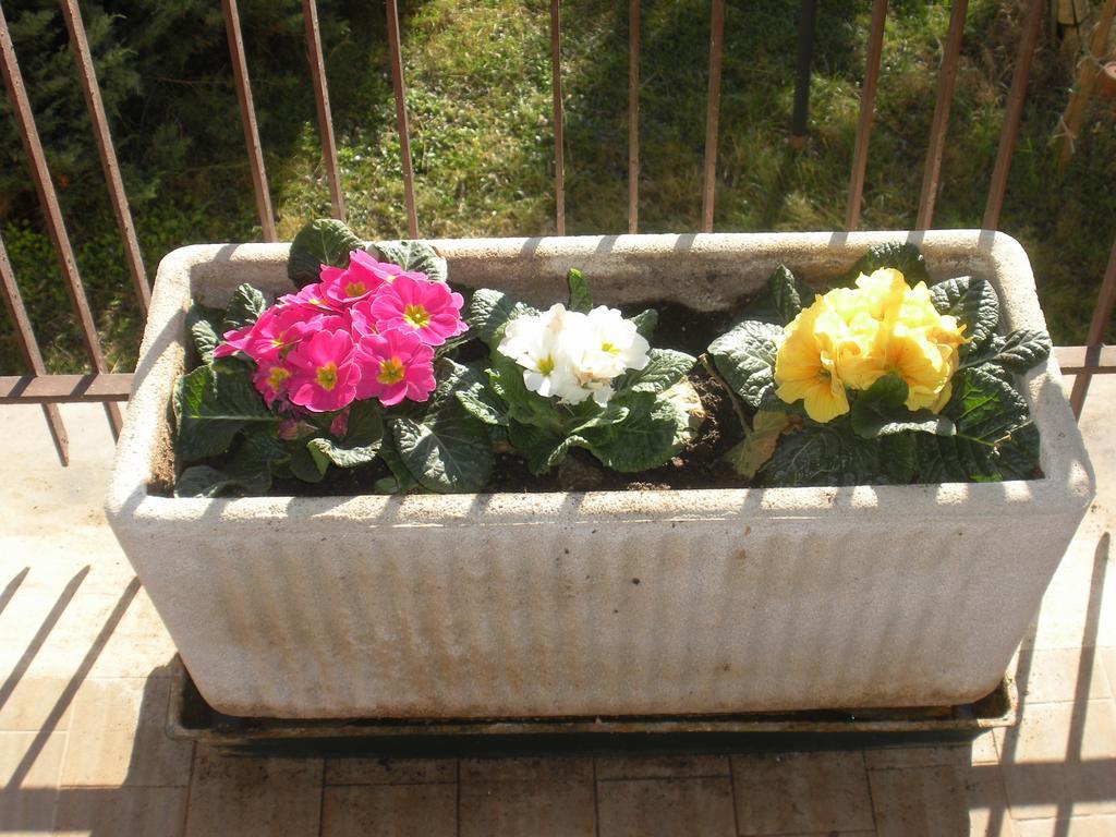 Farm stay Agriturismo Le Rose Castiglione del Lago