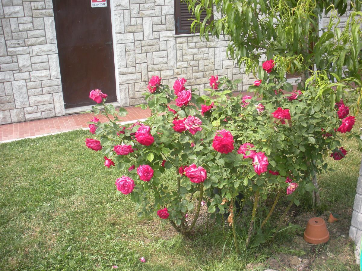 Agriturismo Le Rose * Castiglione del Lago