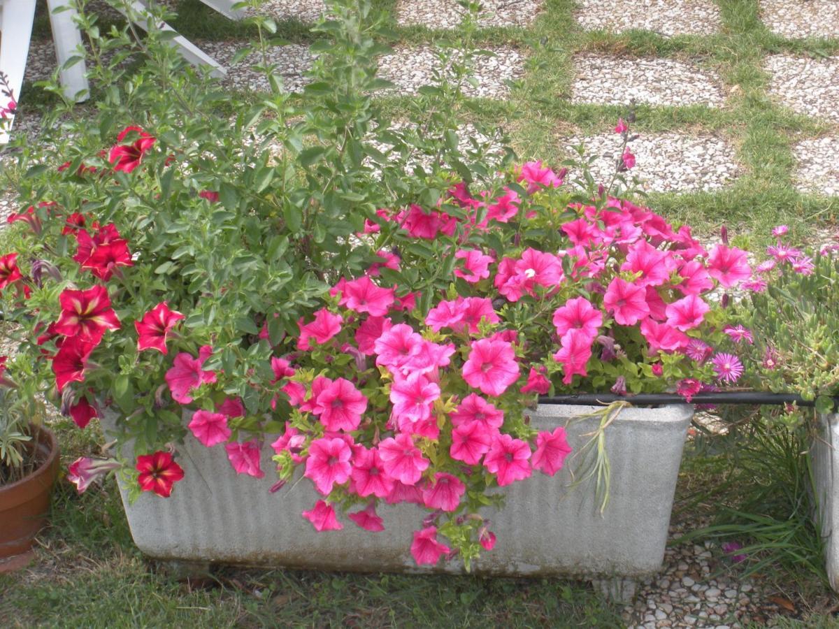 Agriturismo Le Rose Castiglione del Lago