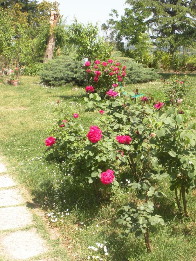 Agriturismo Le Rose Farm stay Castiglione del Lago